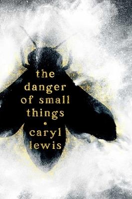 The Danger of Small Things - Caryl Lewis - cover