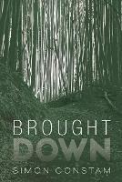 Libro in inglese Brought Down  - Simon Constam