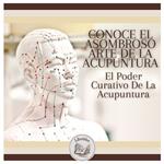 Conoce El Asombroso Arte De La Acupuntura: El Poder Curativo De La Acupuntura