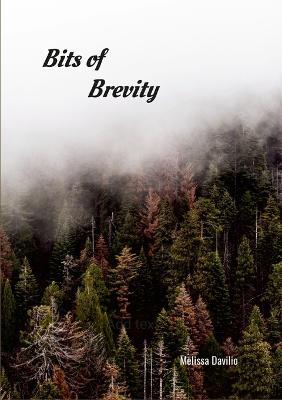 Bits of Brevity - Melissa Davilio - cover