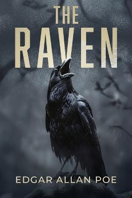 The Raven: Illustrated PocketSize Edition - Edgar Allan Pocketsize Publishing - cover