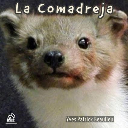 La comadreja