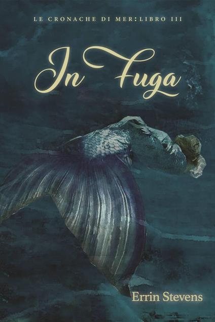 In fuga - Errin Stevens - ebook
