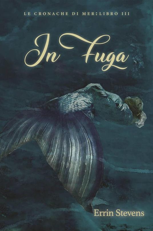In fuga - Errin Stevens - ebook