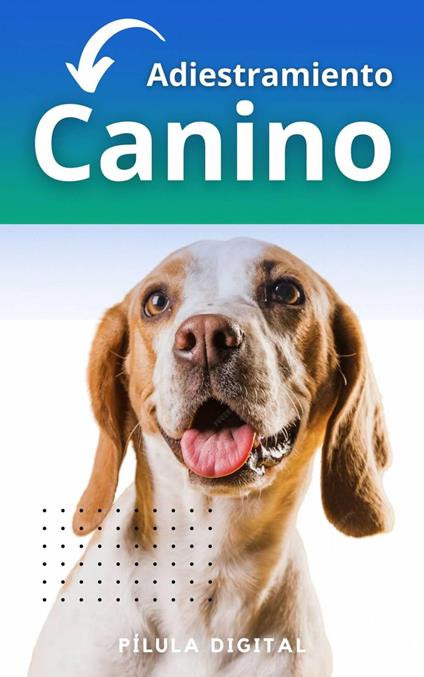 Adiestramiento canino