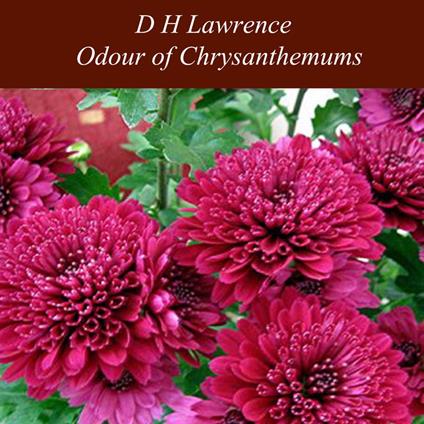 Odour of Chrysanthemums