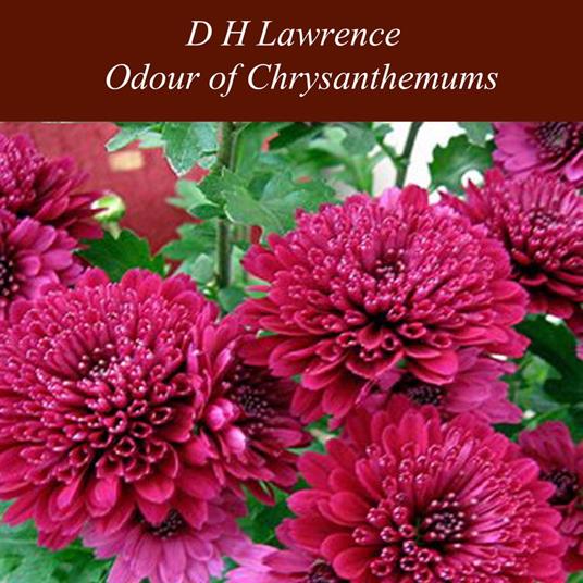 Odour of Chrysanthemums