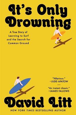 It's Only Drowning: A True Story of Learning to Surf and the Search for Common Ground - David Litt - cover