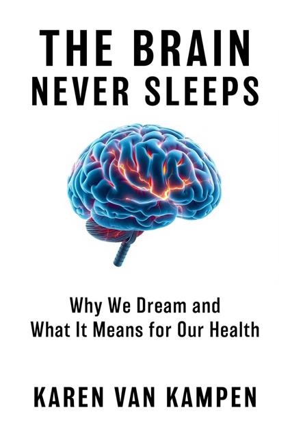 The Brain Never Sleeps
