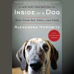 Inside of a Dog