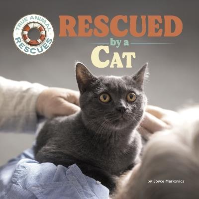 Rescued by a Cat - Joyce Markovics - cover