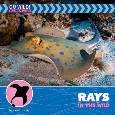 Rays in the Wild - Susan H Gray - cover