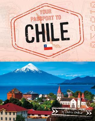 Your Passport to Chile - Golriz Golkar - cover