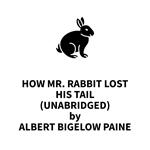 How Mr. Rabbit Lost His Tail (UNABRIDGED)