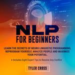 NLP for Beginners