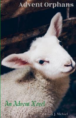 Advent Orphans: an Advent Novel - Zachary J Michael - cover