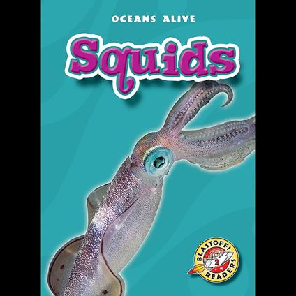 Squids