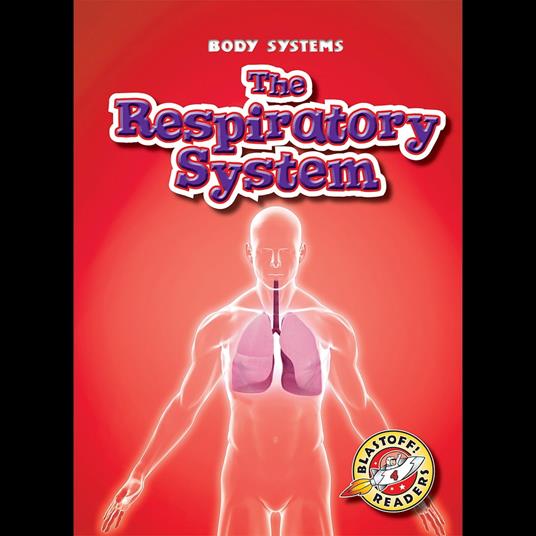 The Respiratory System
