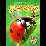 Insects