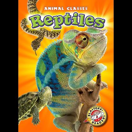 Reptiles