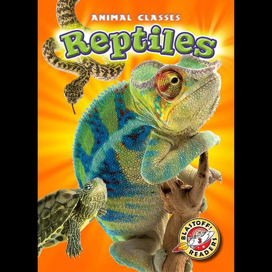 Reptiles
