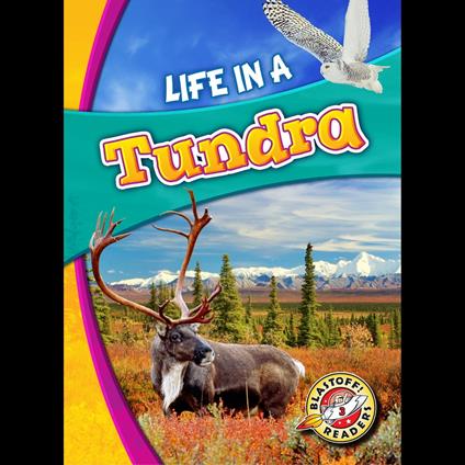 Life in a Tundra