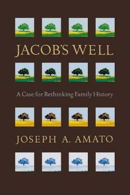 Jacob's Well: A Case for Rethinking Family History - Joseph Amato - cover