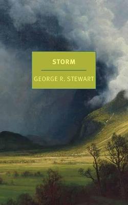 Storm - George R. Stewart,Nathaniel Rich - cover