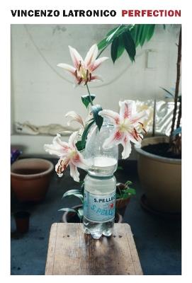 Perfection - Vincenzo Latronico - cover