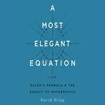 A Most Elegant Equation