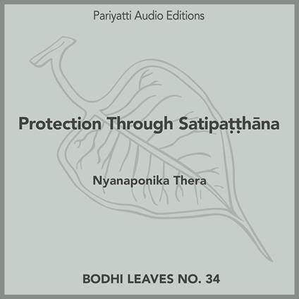 Protection Through Satipa??hana