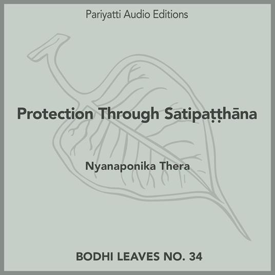 Protection Through Satipa??hana