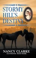 Stormy Hill's Destiny: Book 7 - Nancy Clarke - cover