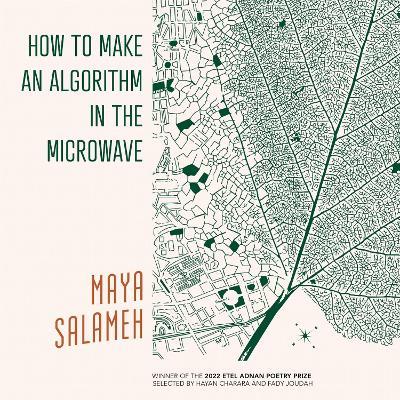 How to Make an Algorithm in the Microwave - Maya Salameh - cover