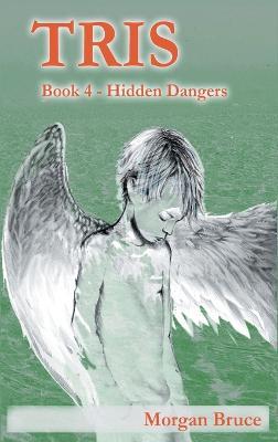 Tris 4: Hidden Dangers - Morgan Bruce - cover