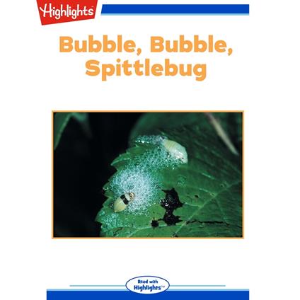 Bubble, Bubble, Spittlebug