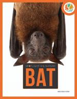 Spotlight on Nature: Bat