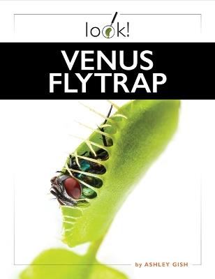Venus Flytrap - Ashley Gish - cover