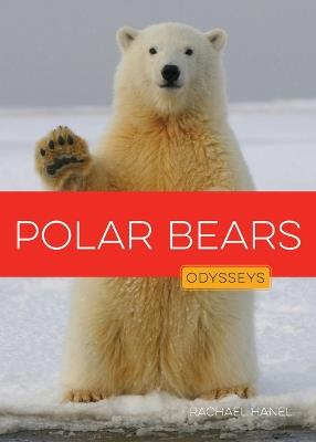 Polar Bears - Rachael Hanel - cover