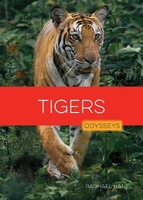 Tigers - Rachael Hanel - cover