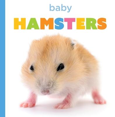Baby Hamsters - Laura K Murray - cover