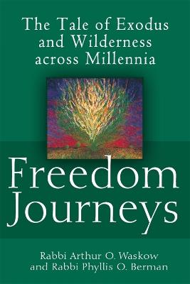 Freedom Journeys: The Tale of Exodus and Wilderness across Millennia - Arthur O. Waskow,Phyllis Berman - cover