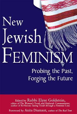 New Jewish Feminism: Probing the Past, Forging the Future - cover