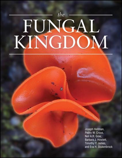 The Fungal Kingdom