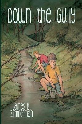 Down the Gully: A Meathead Book - James B Zimmerman - cover