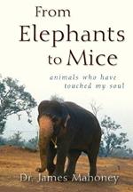 From Elephants to Mice: Animals Who Have Touched My Soul