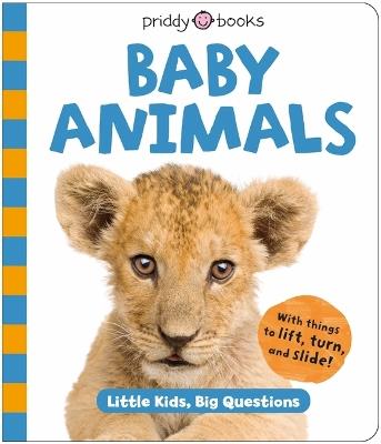 Baby Animals (Little Kids, Big Questions) - Roger Priddy,Priddy Books - cover