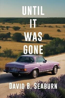 Until It Was Gone: A Contemporary Family Novel of Resilience and Hope - David B Seaburn - cover