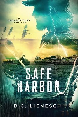 Safe Harbor - B C Lienesch - cover