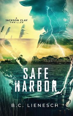 Safe Harbor - B C Lienesch - cover
